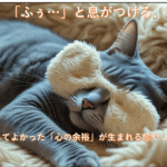 ストレスで心が限界な時に本当に買ってよかった癒やしグッズ7選【体験談】